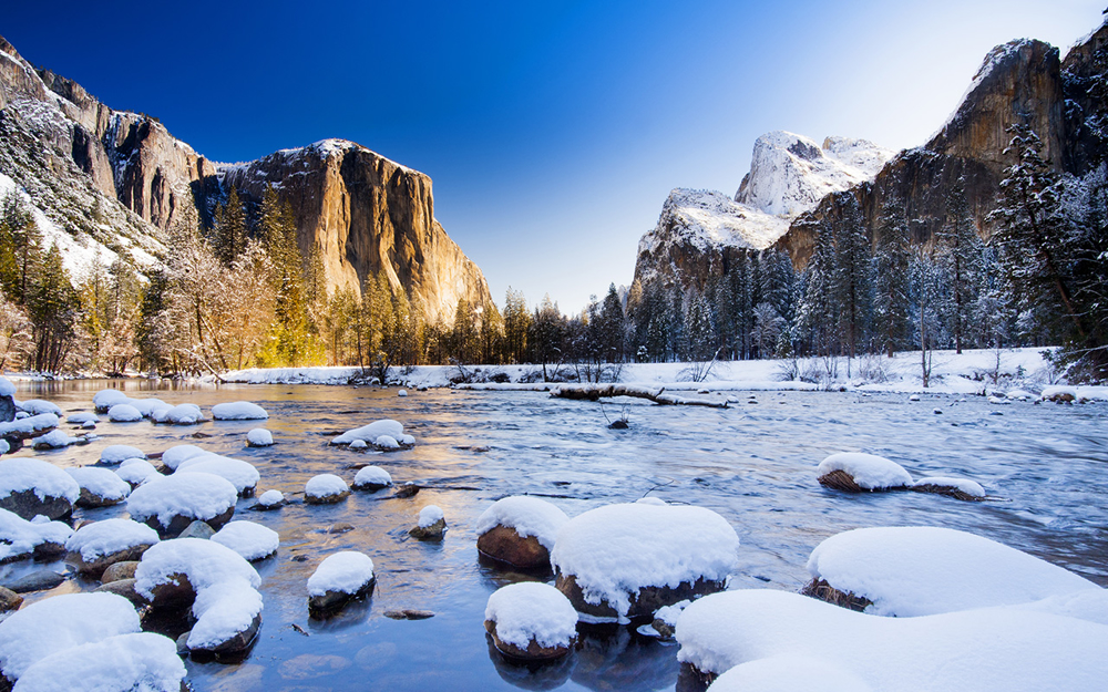 Picture of Yuletide in Yosemite 12/15/2024-12/17/2024