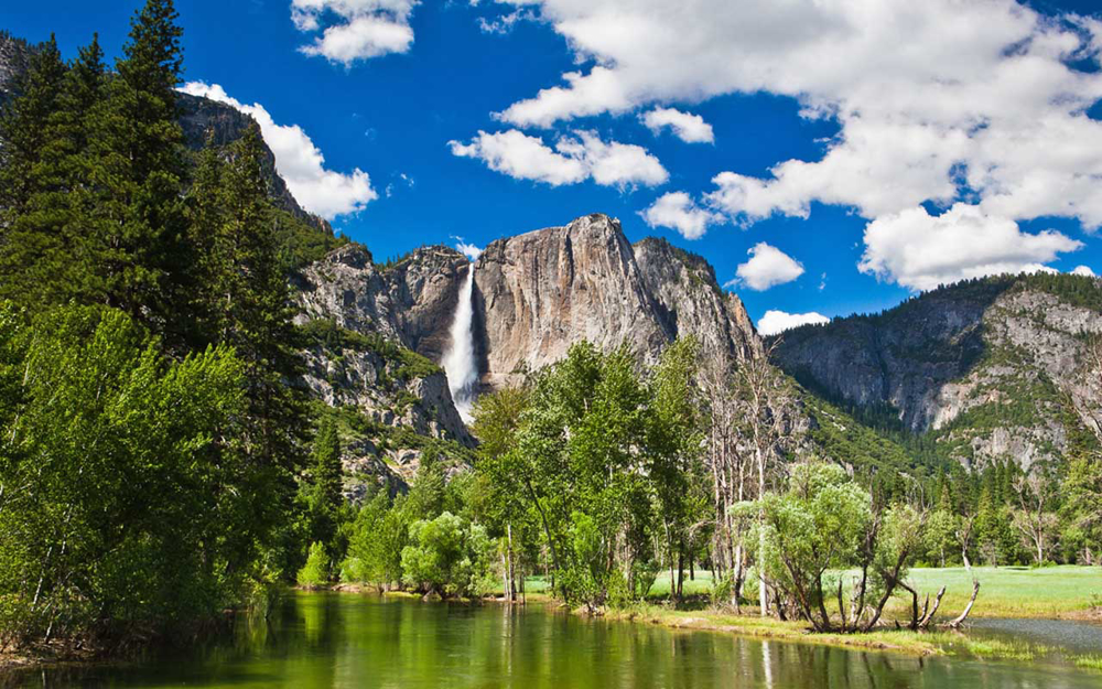 Picture of Yosemite Spring Fling