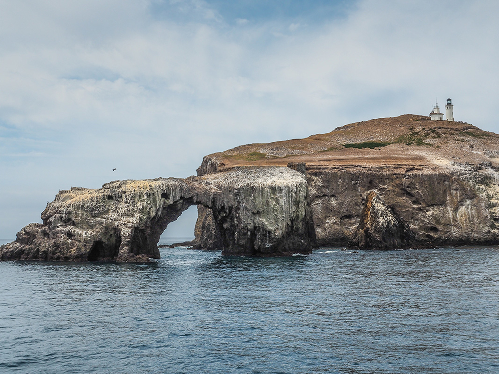 Picture of Anacapa Island Wildlife Cruise 9/30/2025