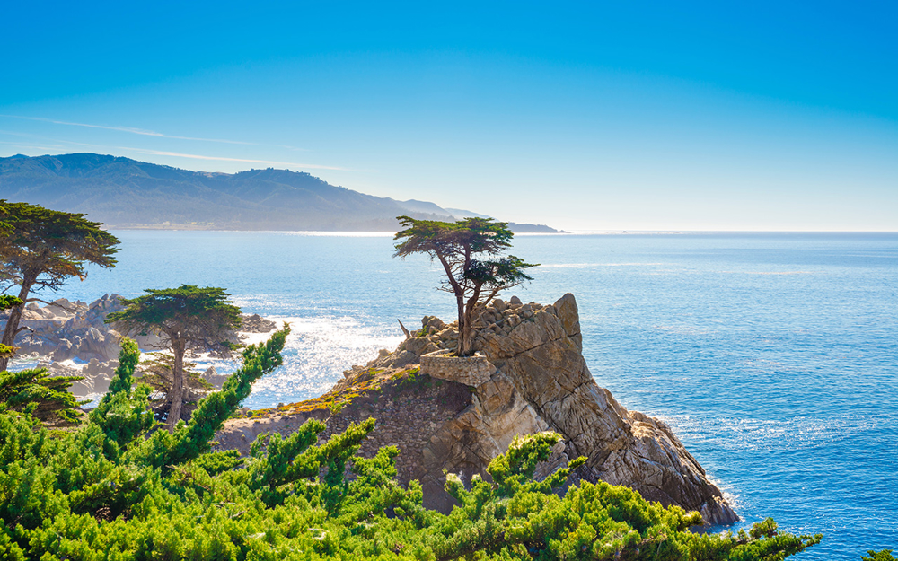 Picture of Monterey, Carmel, Redwoods & Rails