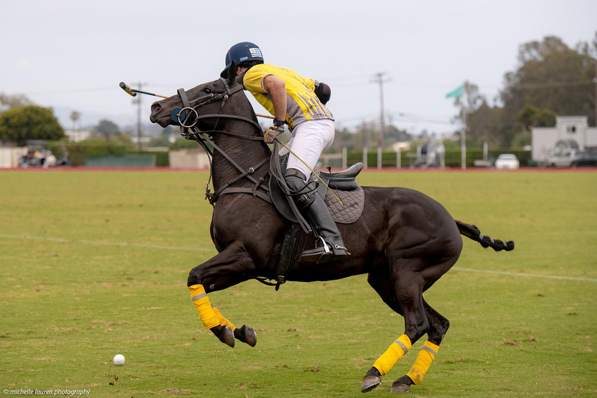 0002229_polo-in-paradise_1980.jpeg