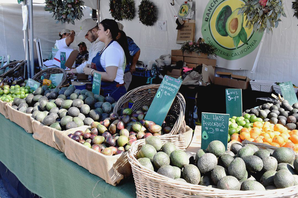 Picture of All Aboard for Avocados! 10/3/2026