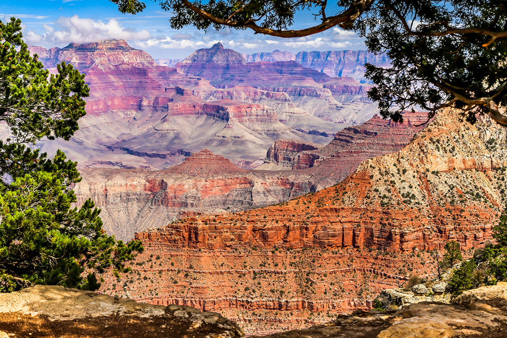 Picture of Canyons, Craters & Painted Deserts