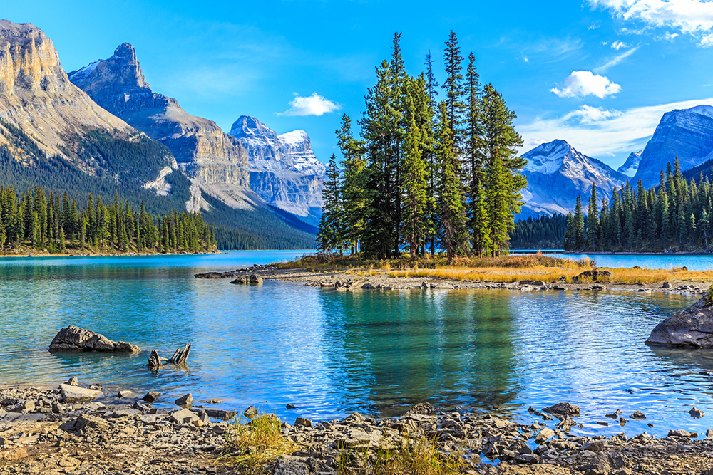 Picture of Canadian Rockies & Calgary Stampede