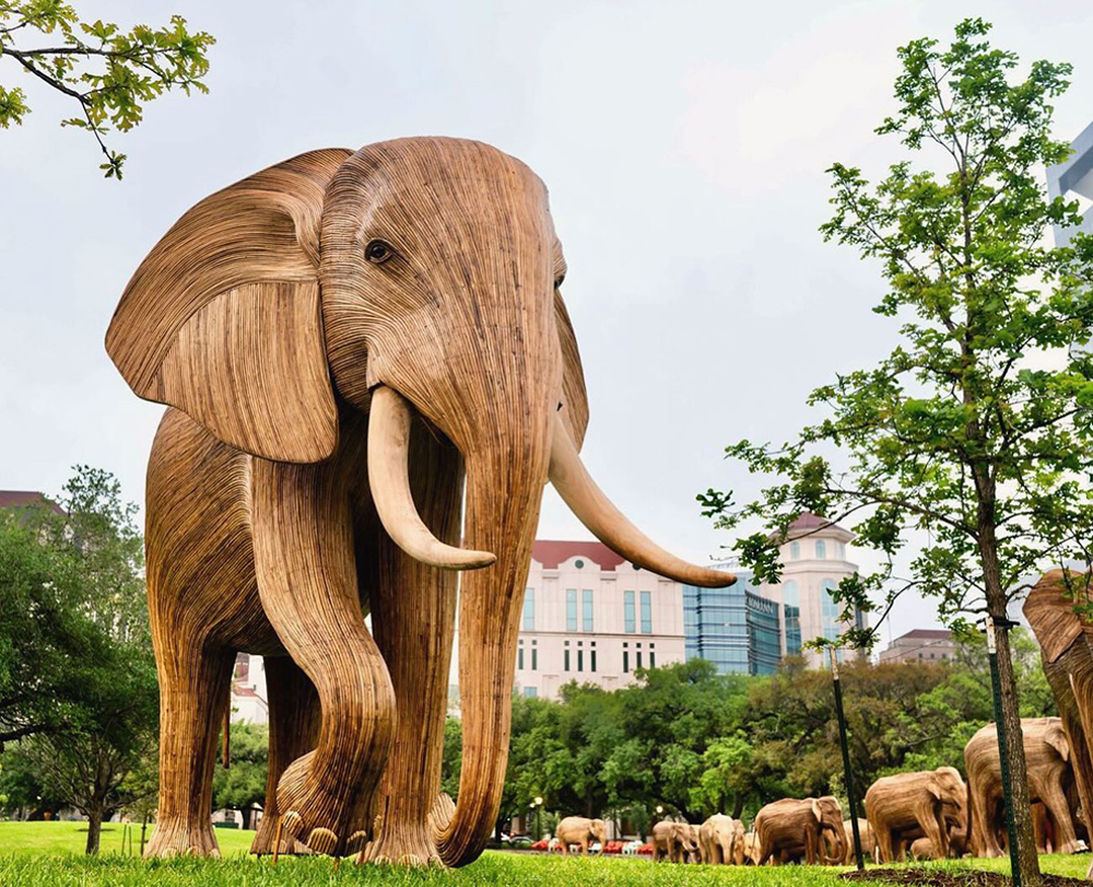 Picture of The Great Elephant Migration 7/31/2025
