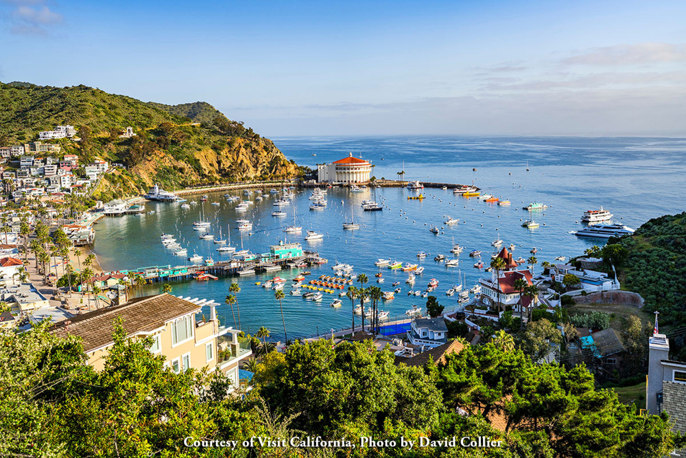 Picture of Catalina Island Getaway 10/12/2025