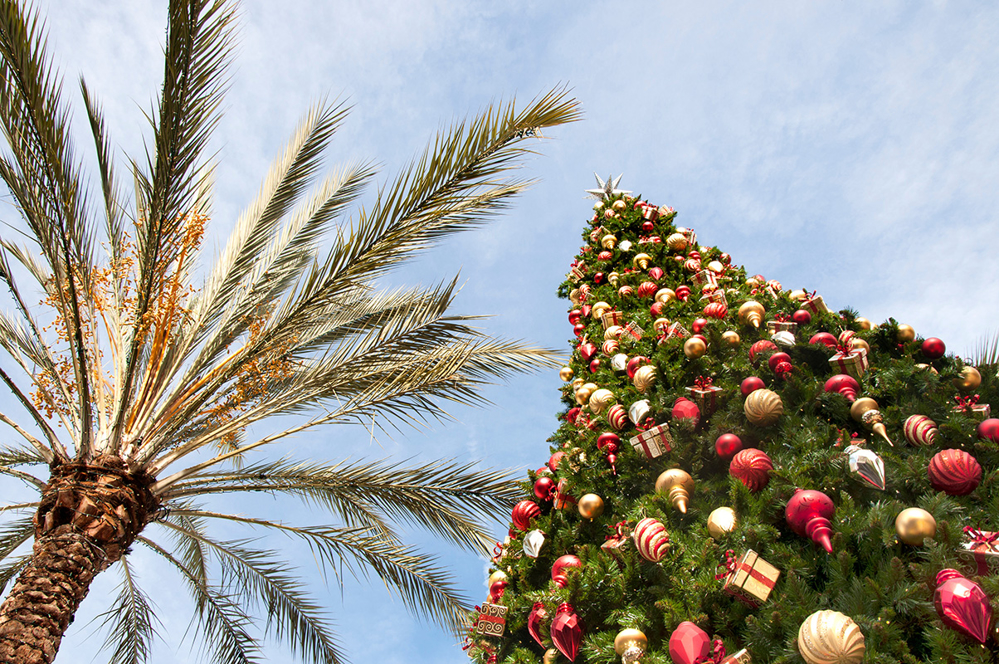 Picture of Palm Springs Holiday Retreat 12/8/2026-12/10/2026