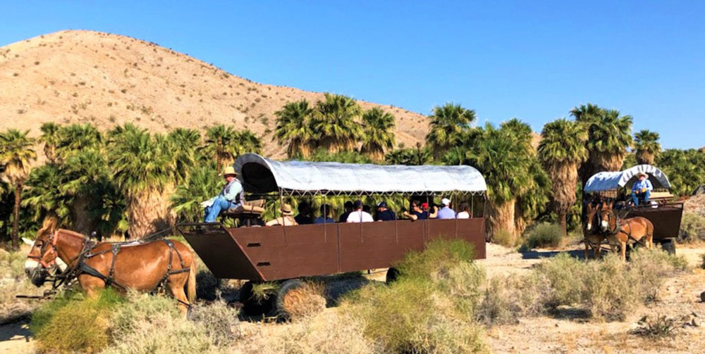 Picture of Old West Covered Wagon Tour & Cookout 11/7/2026