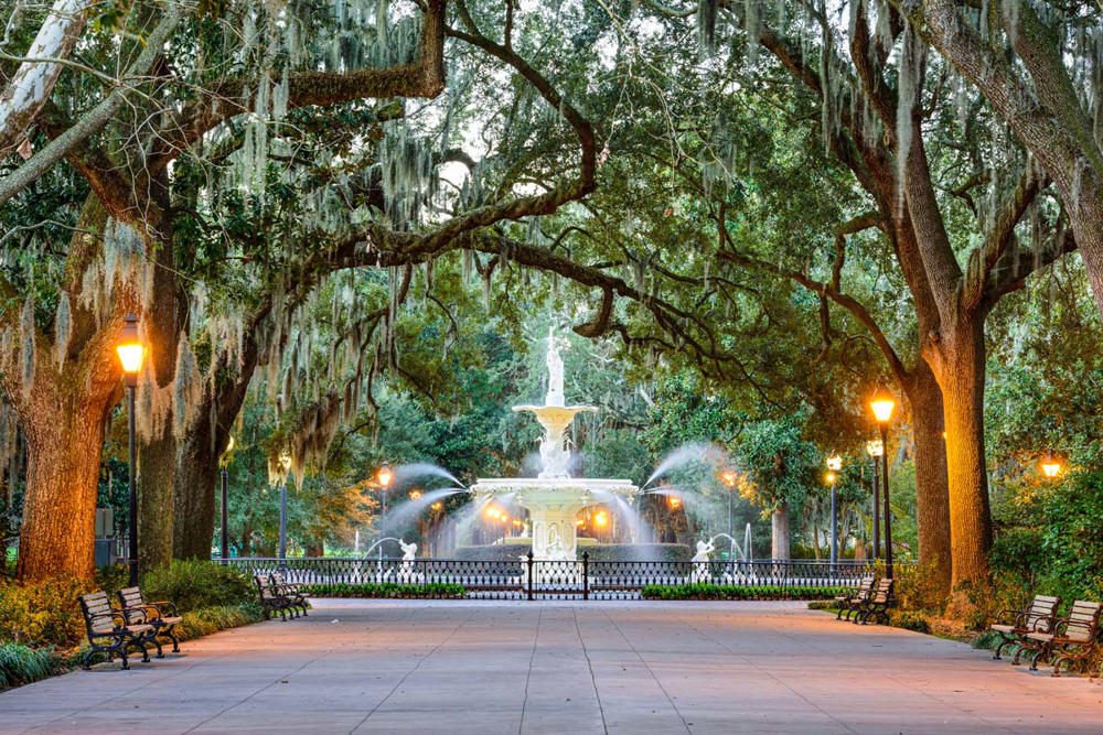 Picture of Southern Charm
